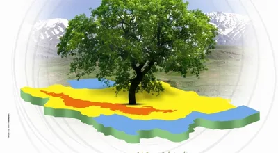 پوستر_24361.jpg