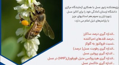 08081