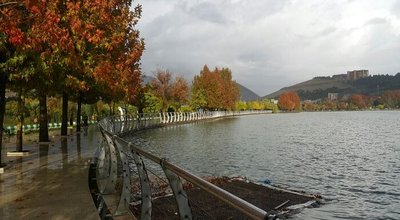 160358_732