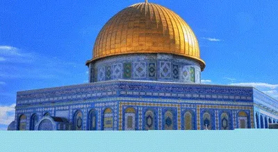46_33346.gif