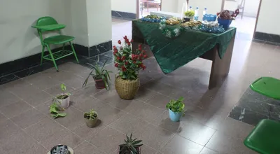 66_16435.JPG