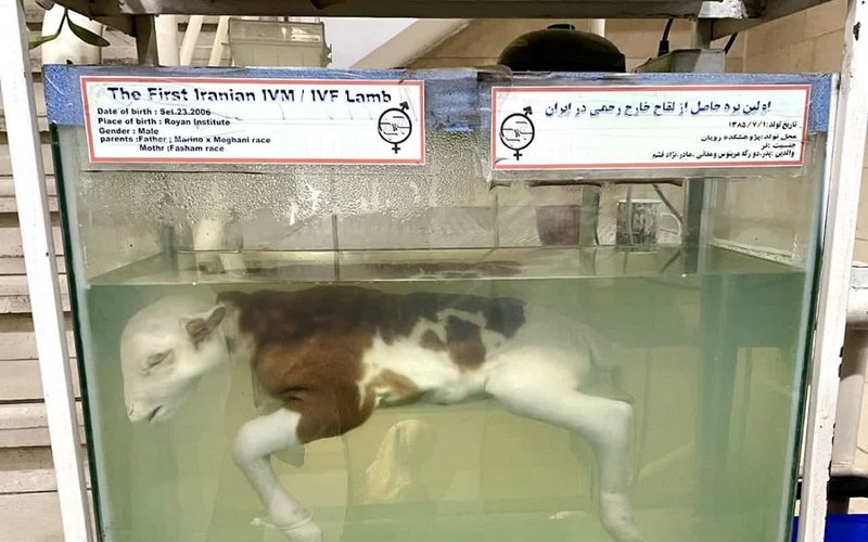 705