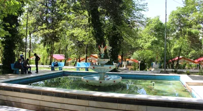 70_16203.JPG