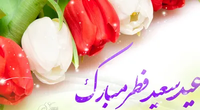 Fetr-Med_5359.jpg