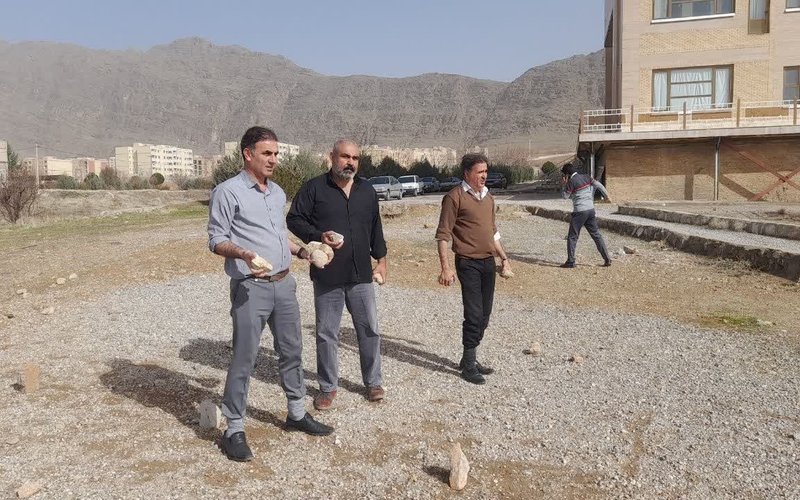 دال پلان چهارم