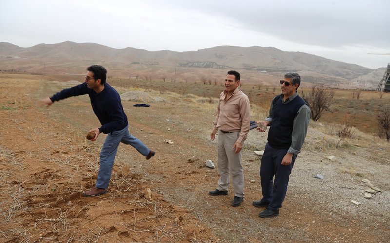 دال پلان سیزدهم