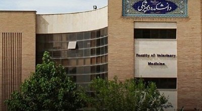 دامپزشکی