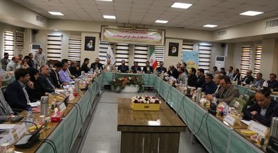 فهمیده 31