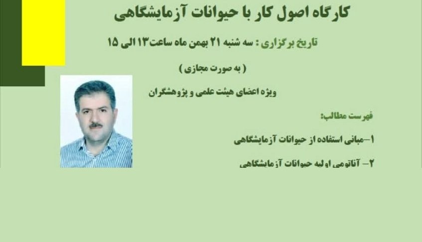 حیوانات آزمایشگاهی