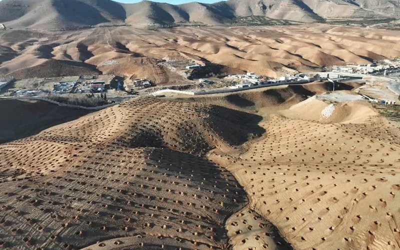 جنگل کاری سوم
