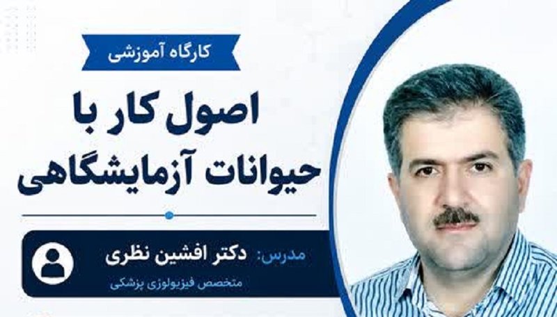 کارگاه آموزشی
