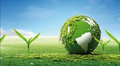 مدیریت سبز
