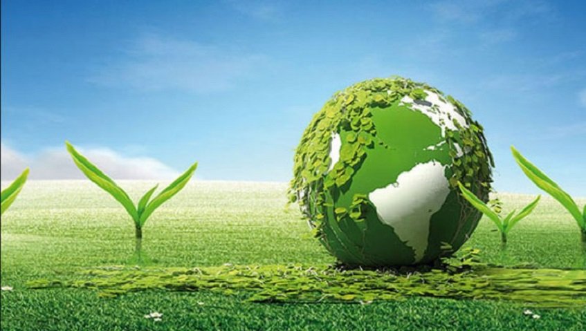 مدیریت سبز