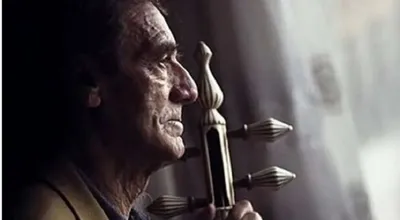 منظمی
