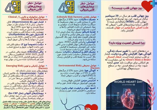 قلب دوم