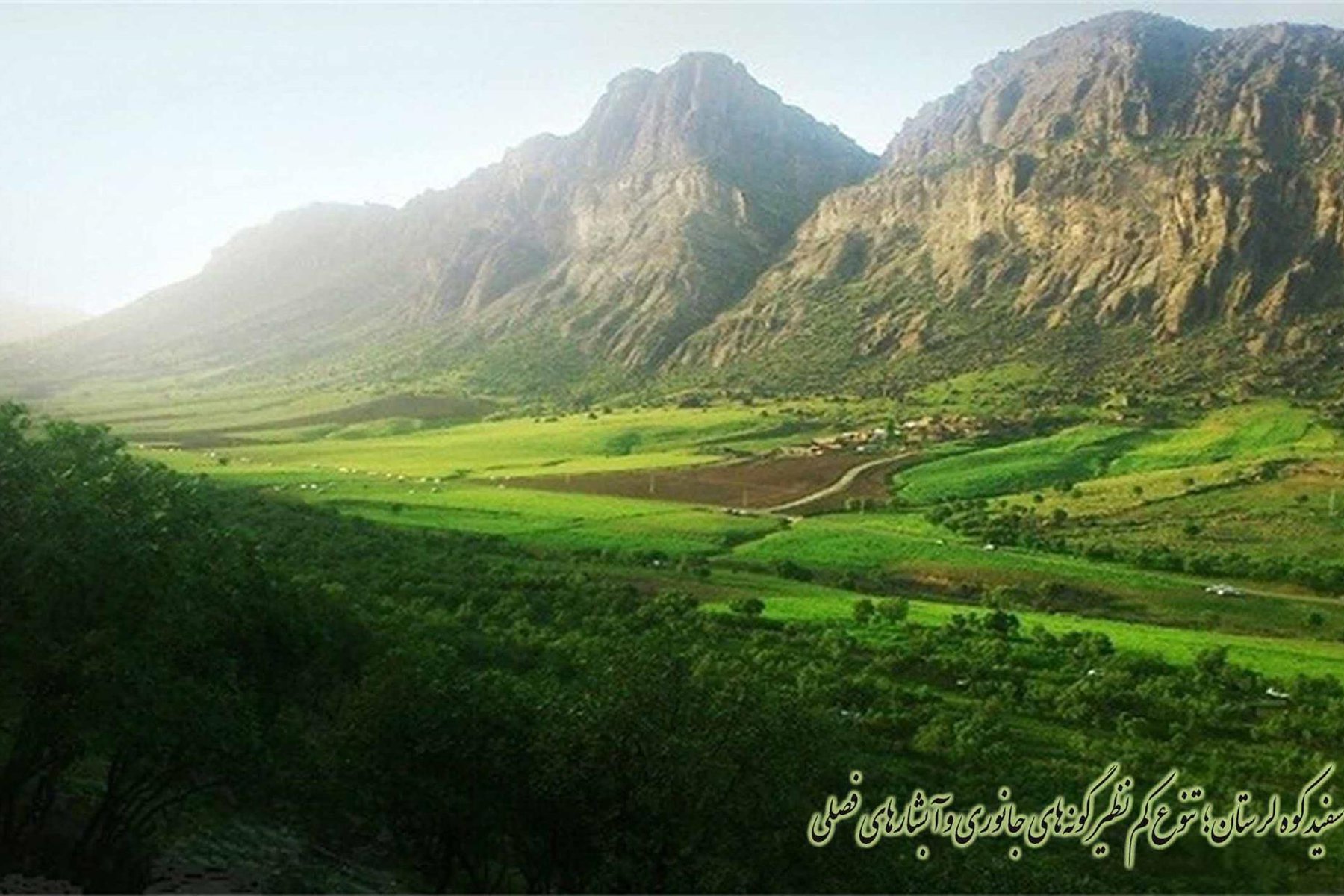 سفیدکوه لرستان؛ تنوع کم_نظیر گونه_های جانوری و آبشارهای فصلی