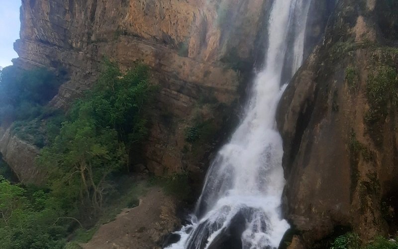 سفید سوم