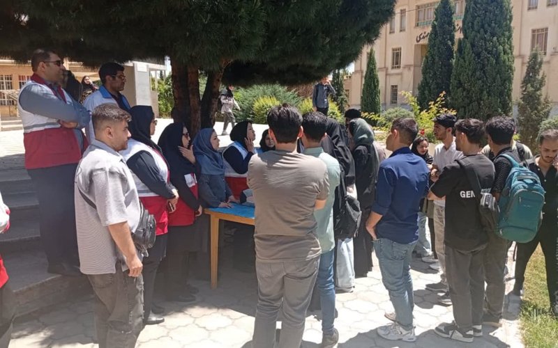 شاهین سوم