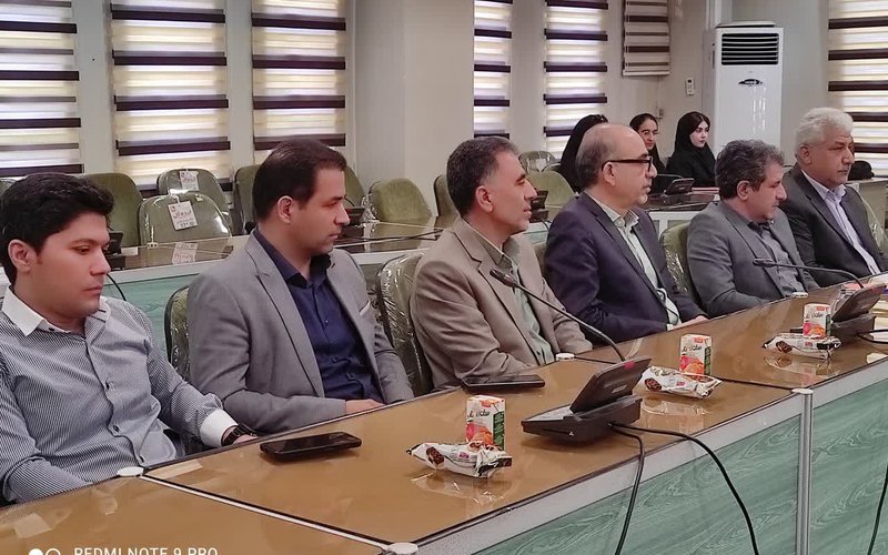 صحرایی