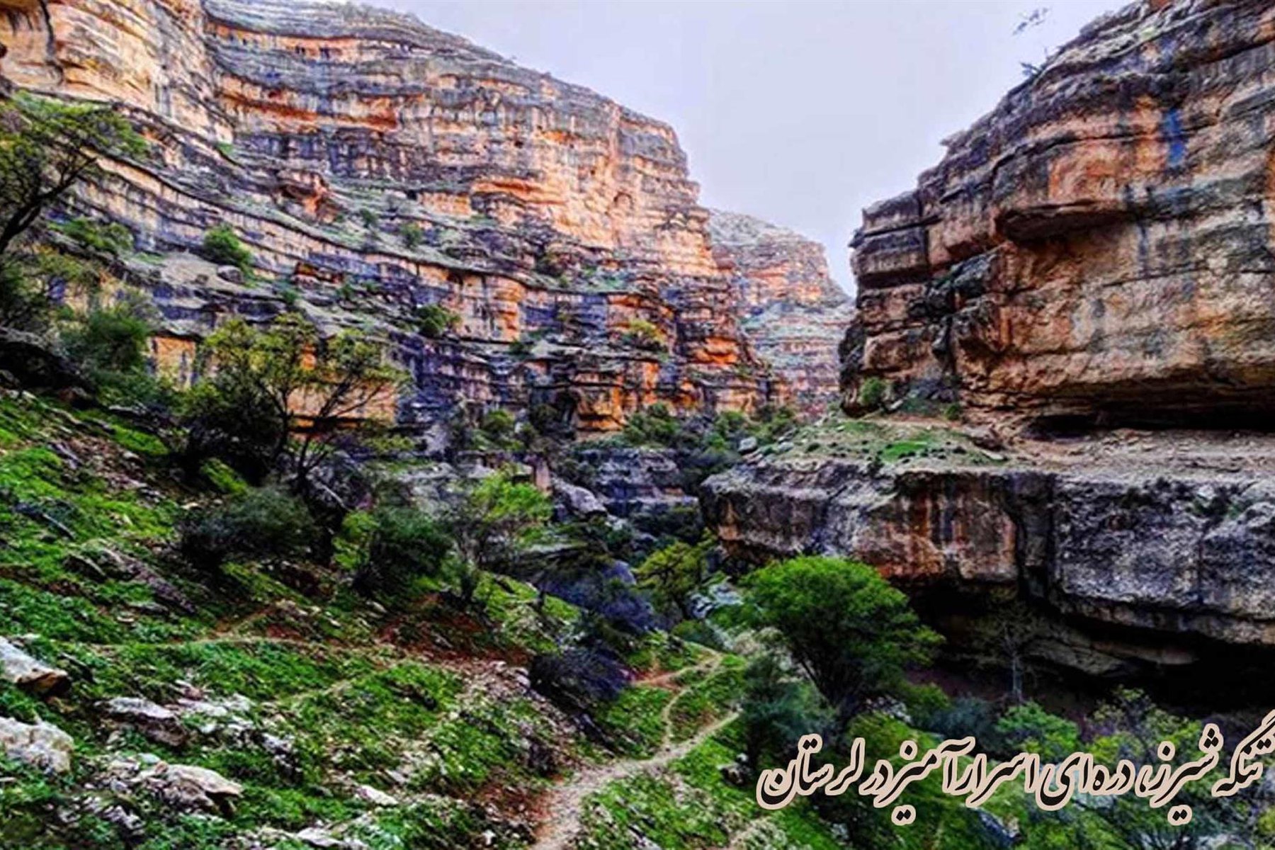 تنگه شیرز